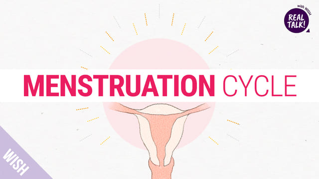 All About Menstruation Cycle! Menstruation & PMS Meaning & Symptoms