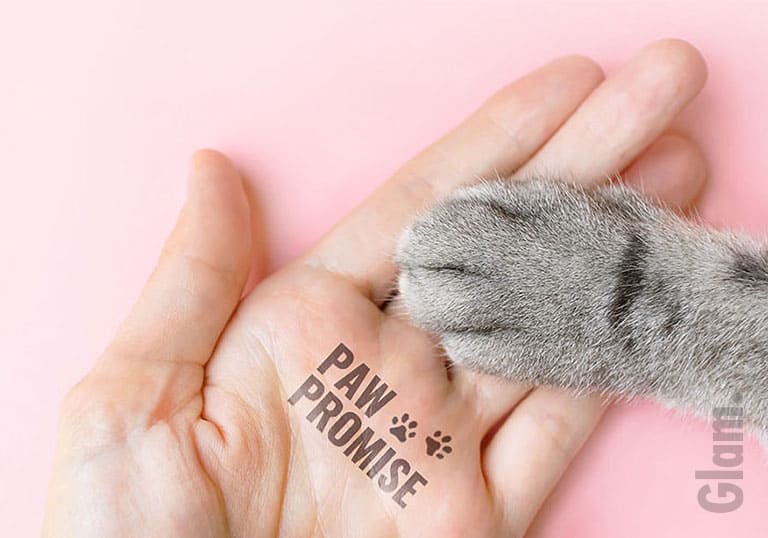 #pawpromise with Wishtrend to Start Cruelty Free Skincare