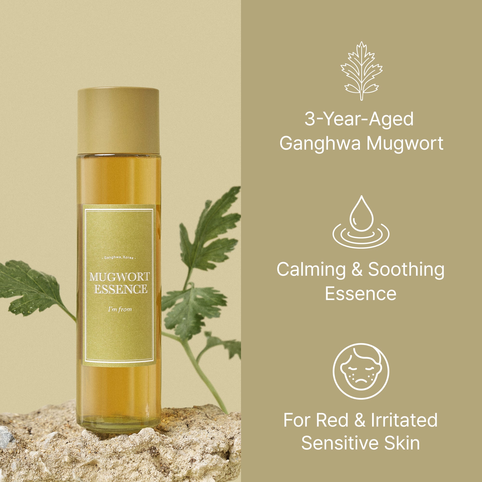 Mugwort Essence