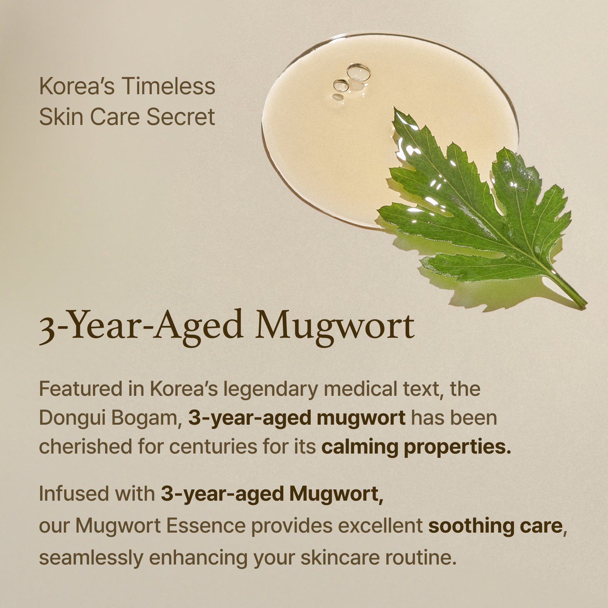 Mugwort Essence