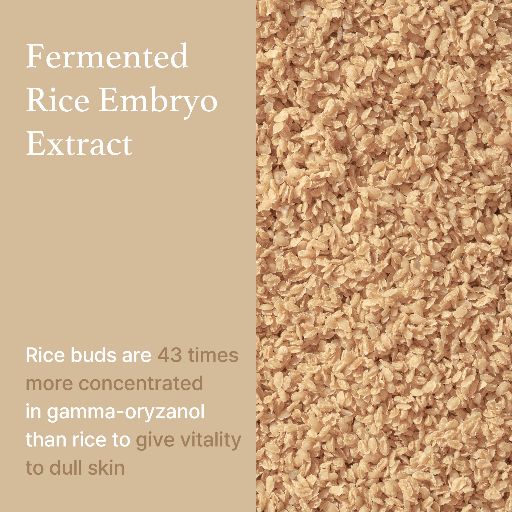 Rice Serum