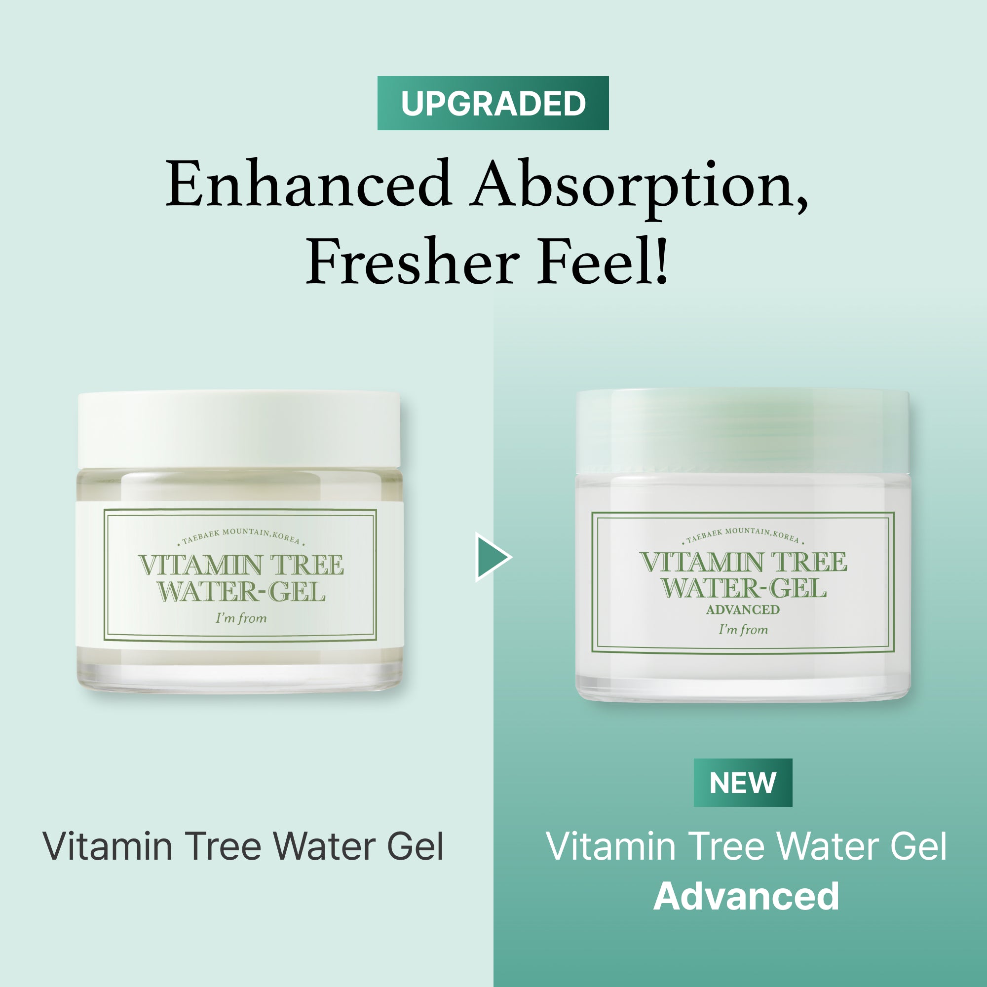 Vitamin Tree Water Gel Advanced