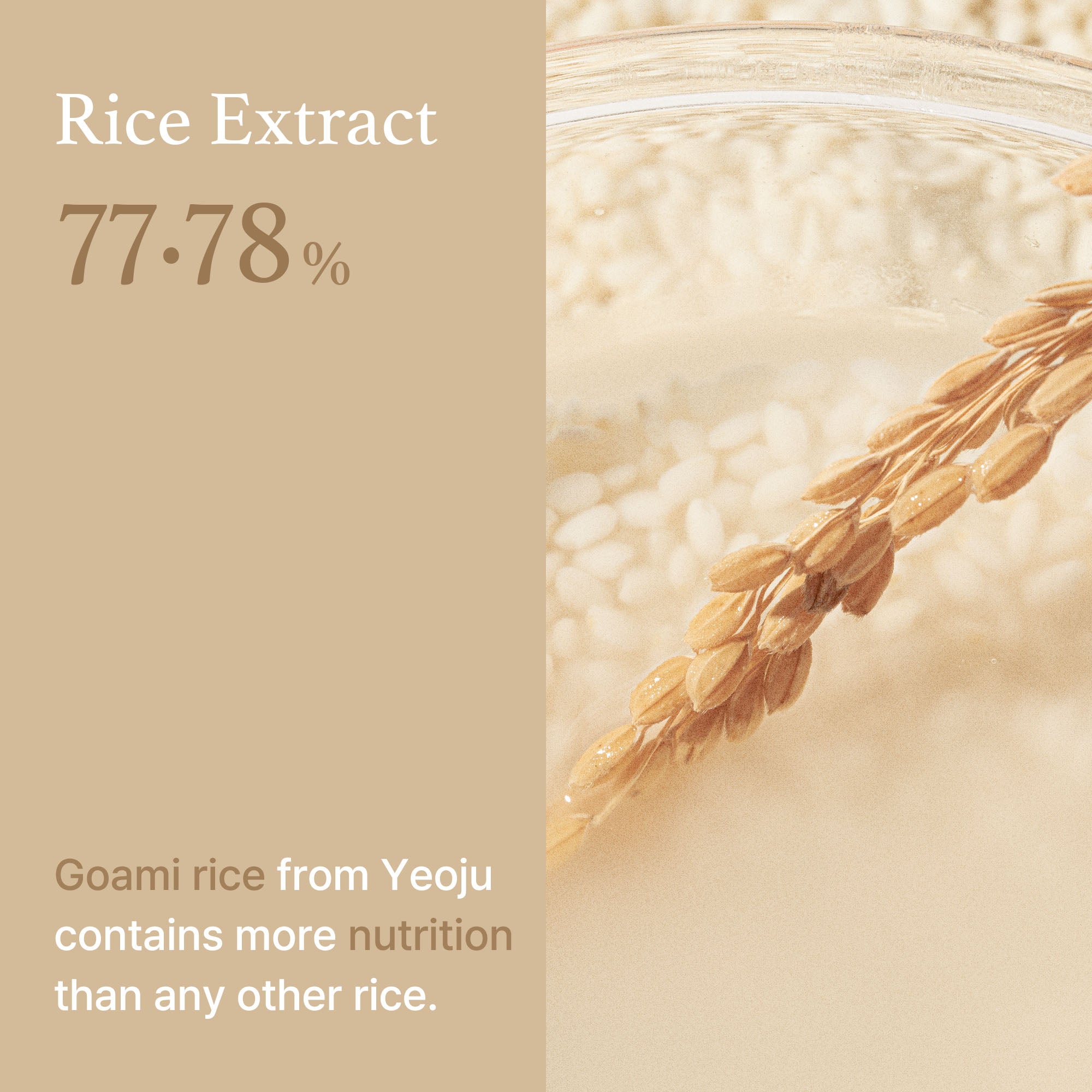 Rice Toner 30ml